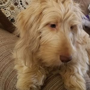 Meet your Posher, Kari